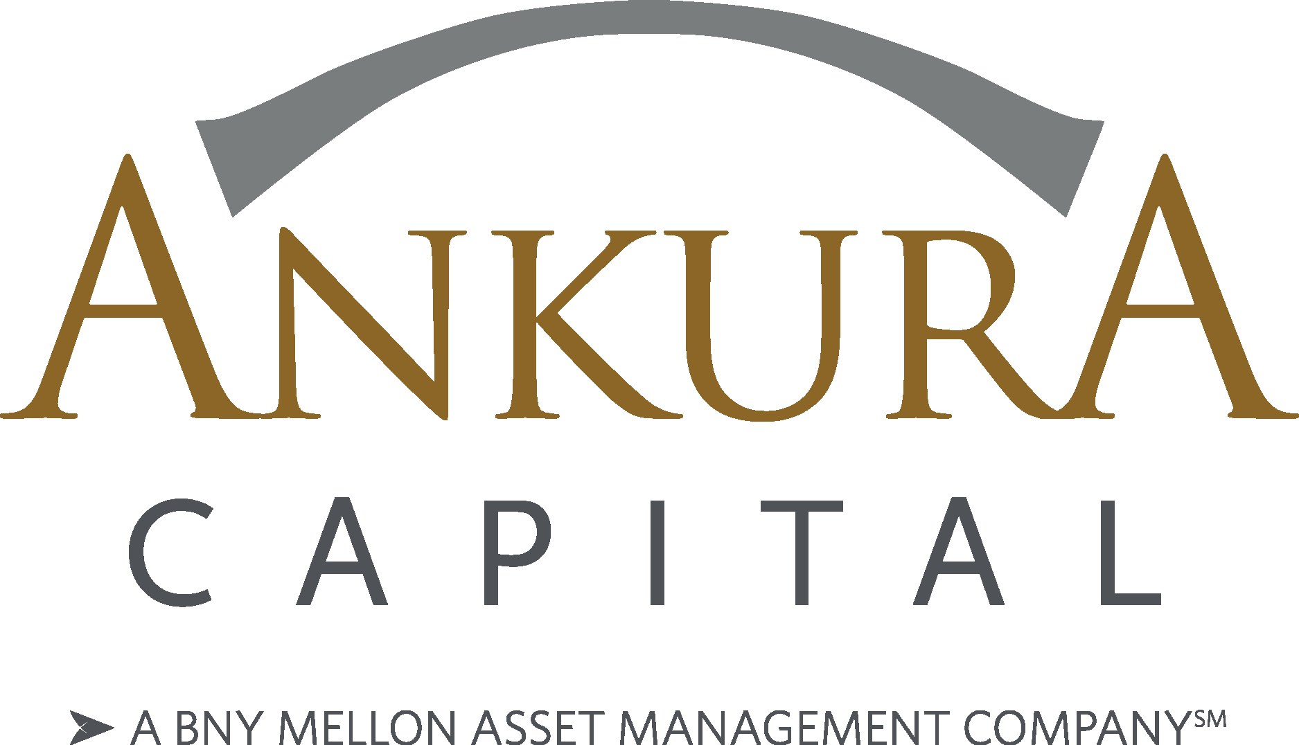 Ankura Capital Logo Vector Logo